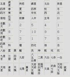 數字五行查詢